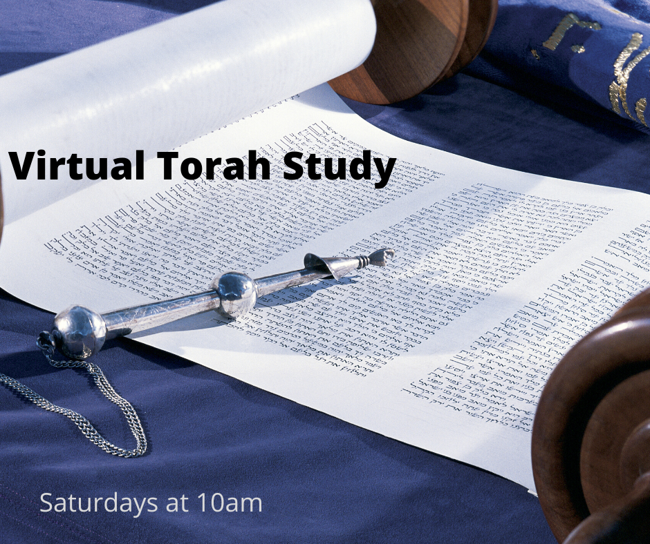 vTorah